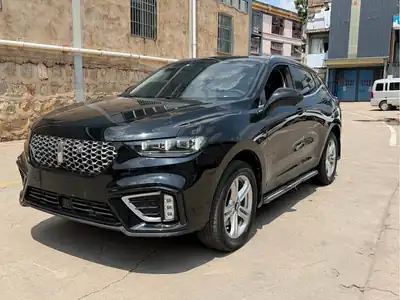 WEY VV5 2021