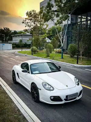 Porsche Cayman 2011