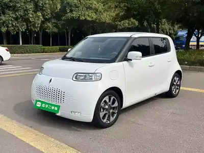 ORA Baimao 2021