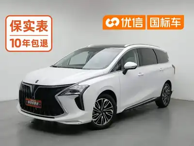 Dongfeng Forthing Fengxingyouting 2022