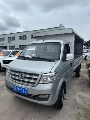 Dongfengxiaokang C31