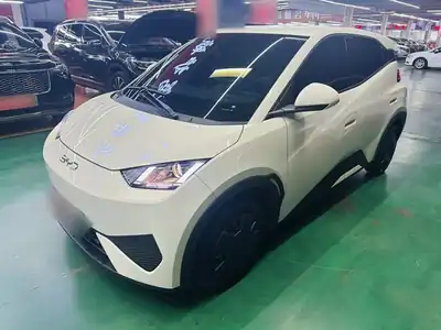 BYD Seagull 2025