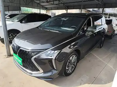 Dongfeng Forthing Fengxingyouting 2024