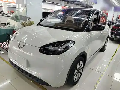 Wuling Bingo 2023