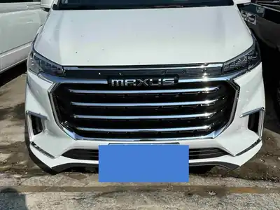 Maxus G20 2024