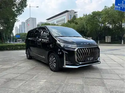 Maxus G20 2023