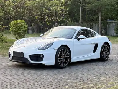 Porsche Cayman 2014