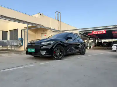 Ford Dianma 2022