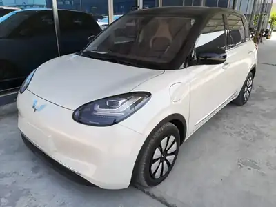 Wuling Bingo 2023