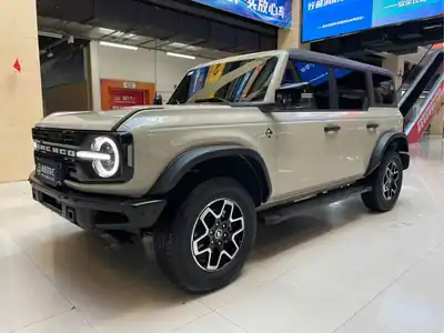 Ford Liema 2024
