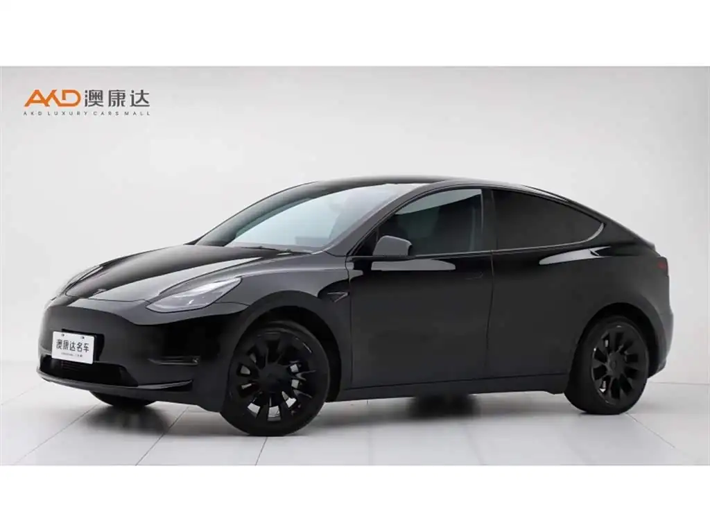 Tesla Model Y 2023, фото 1