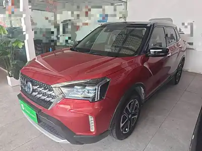 Venucia T60 2019