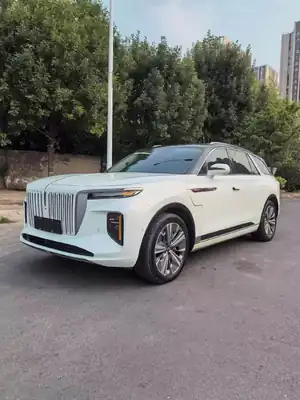 Hongqi E-HS9