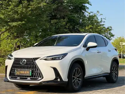 Lexus NX NEV 2022