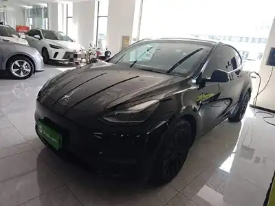 Tesla Model Y 2021
