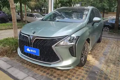 Dongfeng Forthing Fengxingyouting 2023
