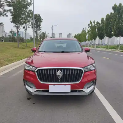 Borgward BX5 2019