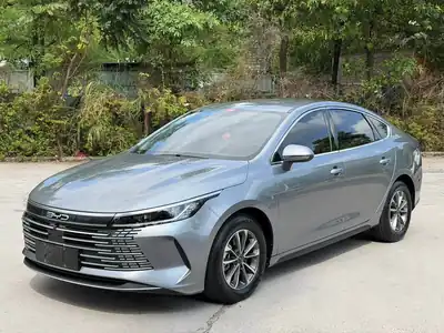 BYD Destroyer 05 2024
