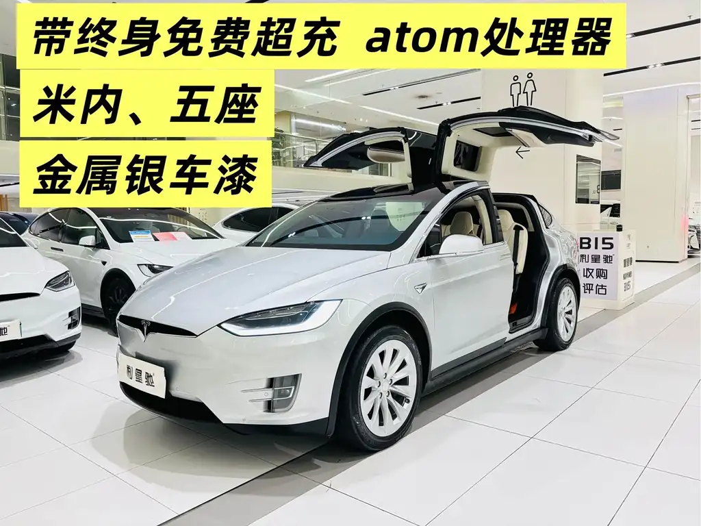 Tesla Model X 2018, фото 1