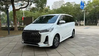 Maxus G20