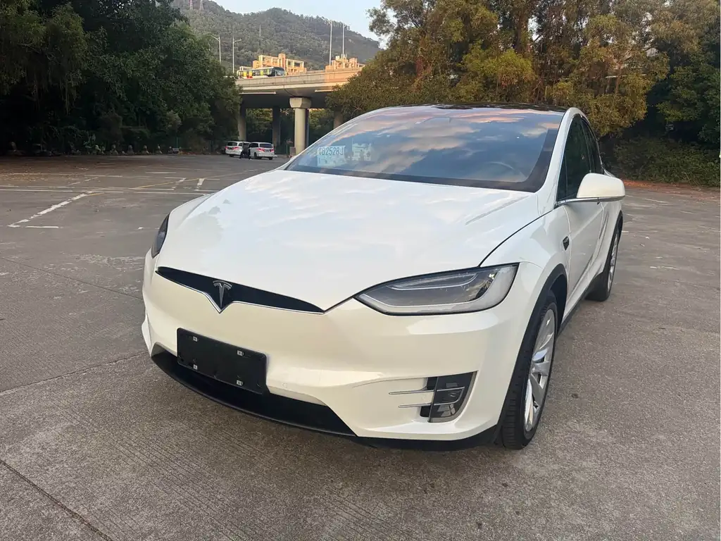 Tesla Model X 2018, фото 1