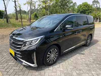 GAC Trumpchi M8 2022