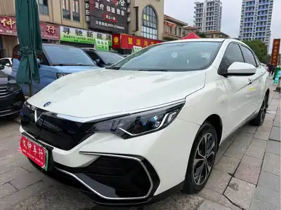 Venucia D60EV 2022