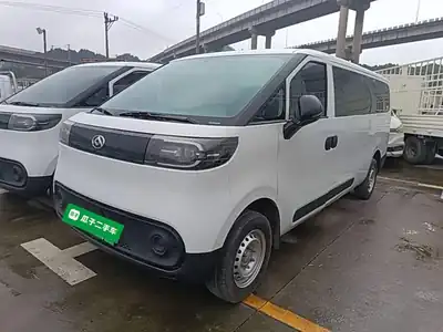 Maxus Dana V1