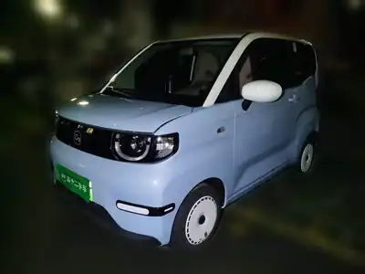 Qirui QQ QQ Bingqilin 2024