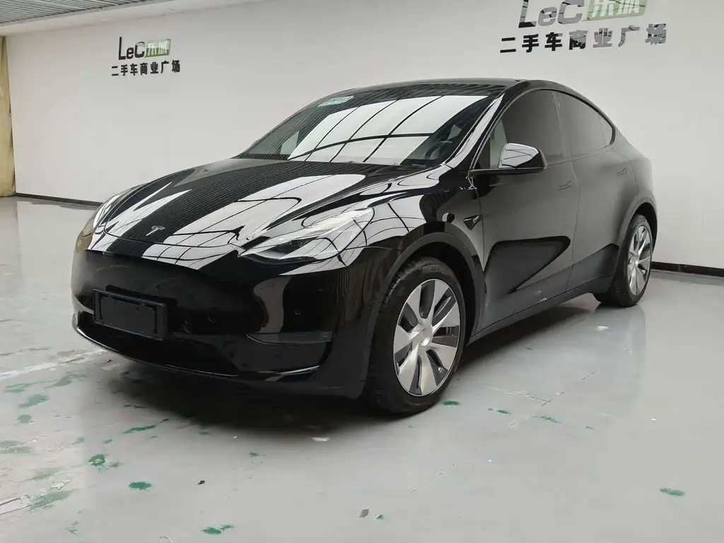 Tesla Model Y 2021, фото 1
