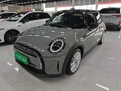 MINI MINI 2022
