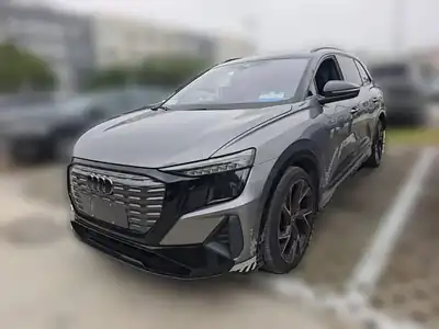 Audi Q5 e-tron 2022