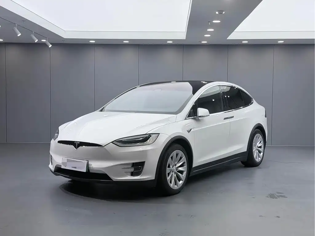 Tesla Model X 2018, фото 1