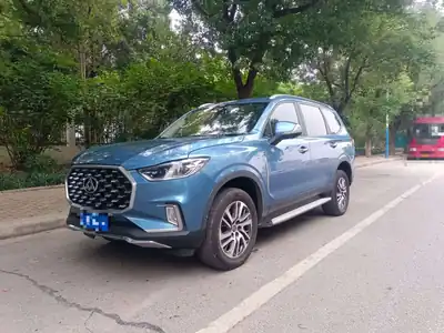 Maxus D90 2019