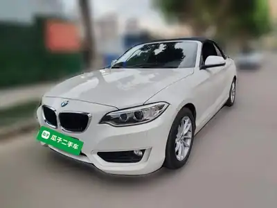 BMW 2 Xi ( (импорт) 2016