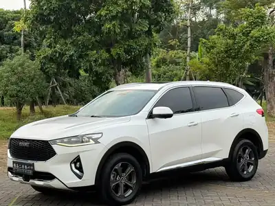 Haval F7 2019