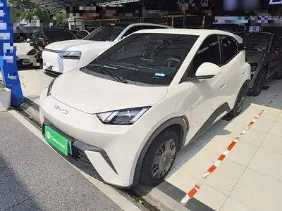 BYD Seagull 2023