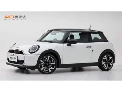 MINI MINI 2025