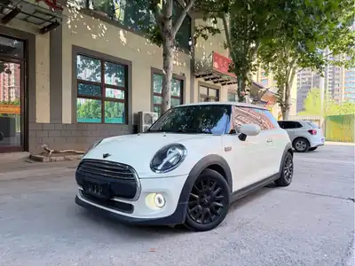 MINI MINI 2020