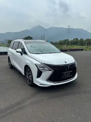 Dongfeng Forthing Fengxingyouting 2023