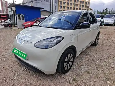 Wuling Bingo 2023