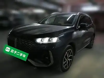 WEY Natie DHT-PHEV