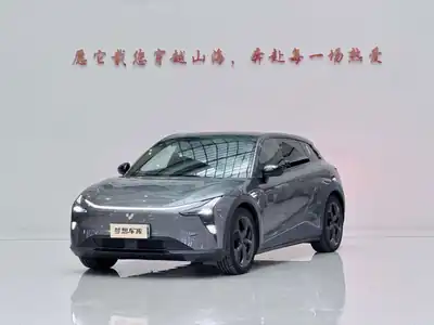 Jiyue 01 2024