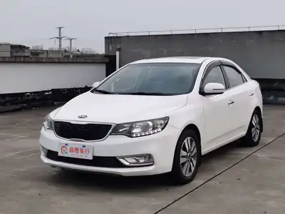 Kia Furuidi 2014