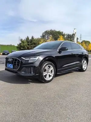 Audi Q8 2022