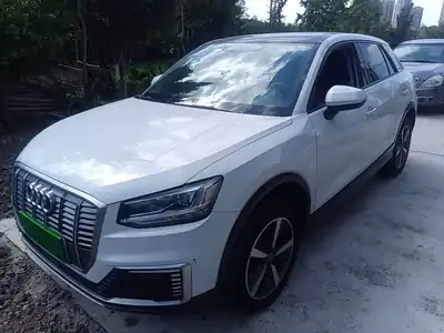 Audi Q2L e-tron 2021