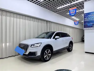 Audi Q2L e-tron 2020