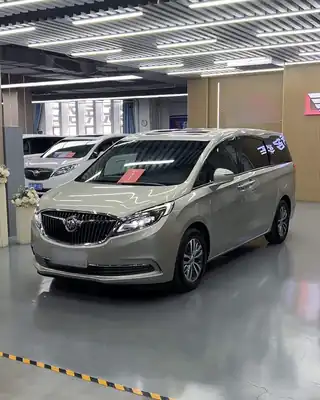 Buick GL8 2017