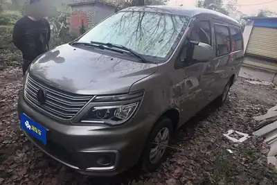 Dongfeng Forthing Lingzhi 2022