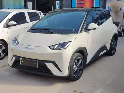 BYD Seagull 2024